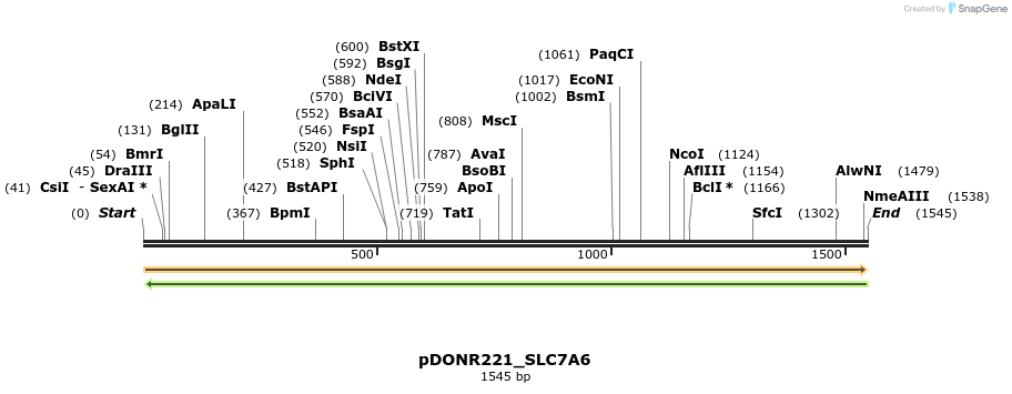 253818_map