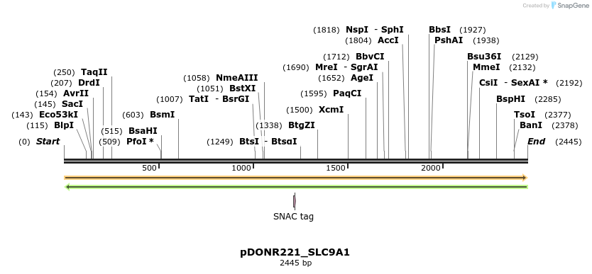 253820_map