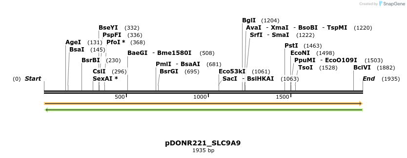 253822_map