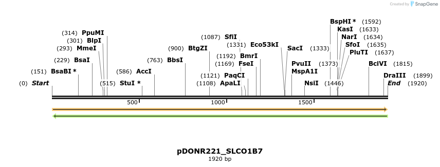 253824_map