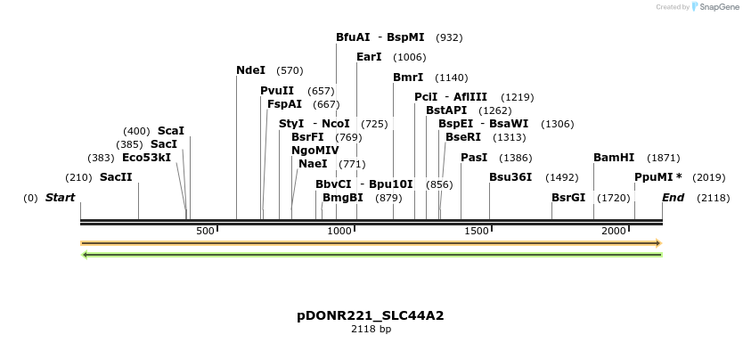 253828_map