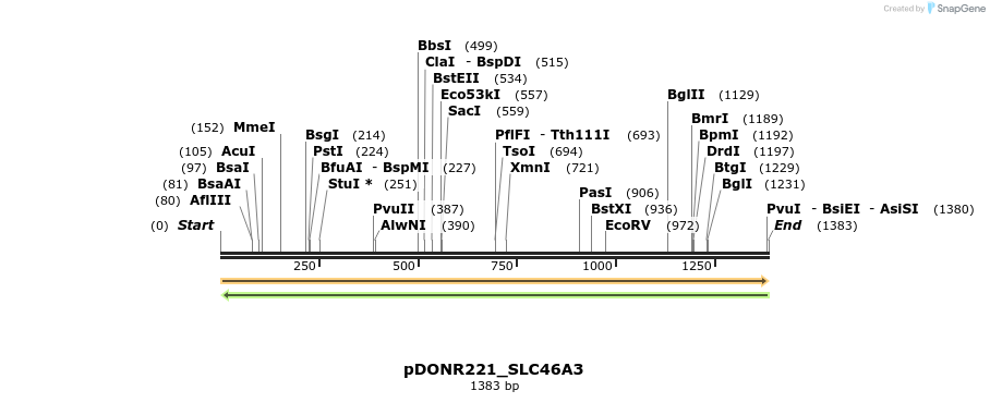 253830_map