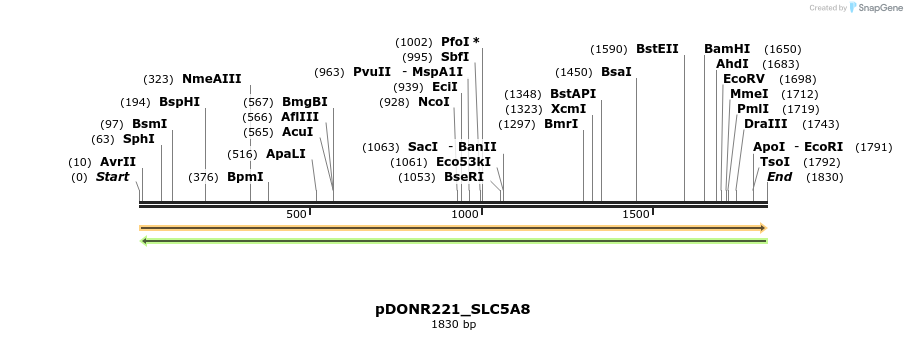 253836_map