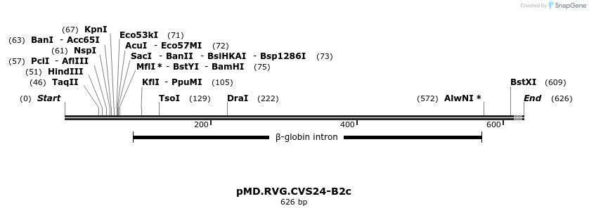 25384_map