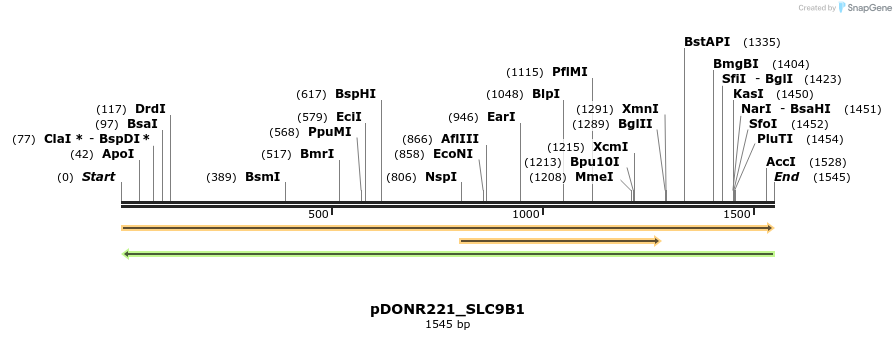 253846_map
