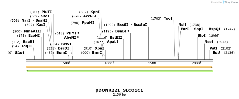 253848_map