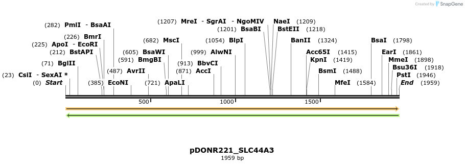 253852_map