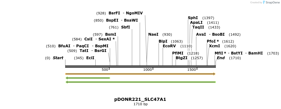 253854_map