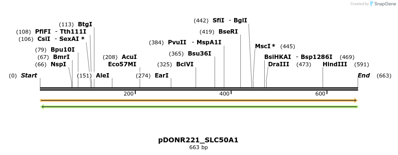 253856_map