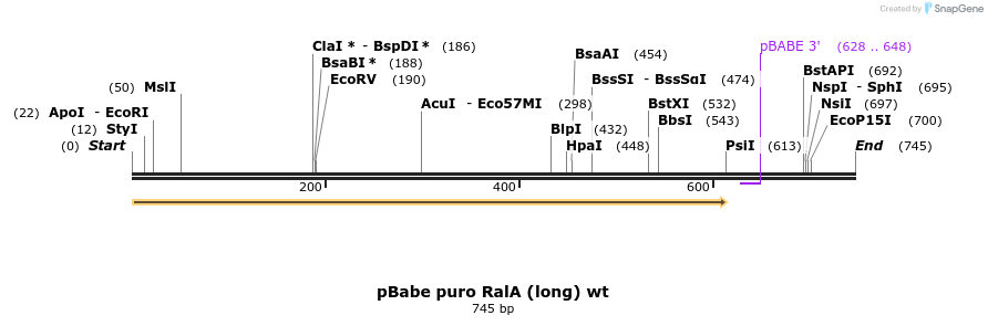 25386_map