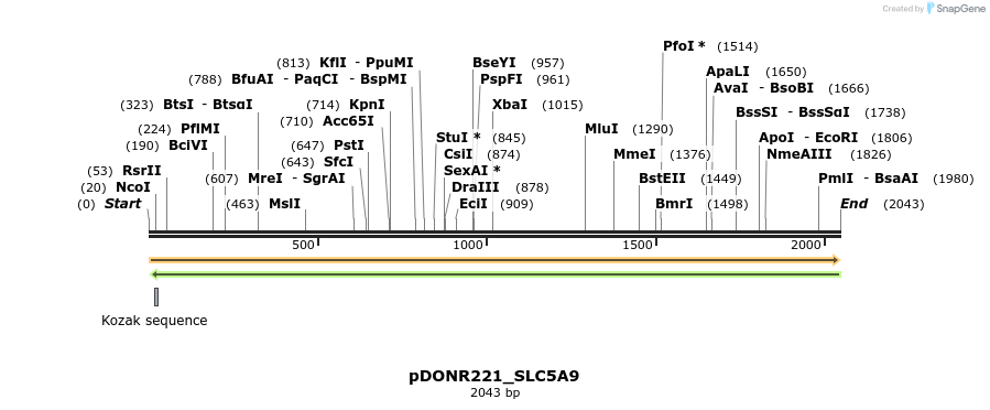 253860_map