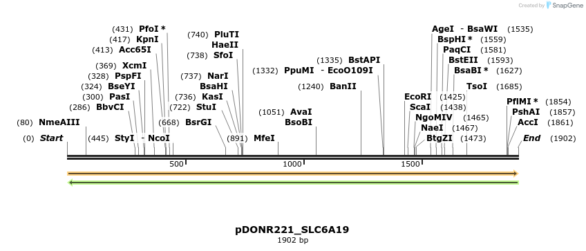 253862_map
