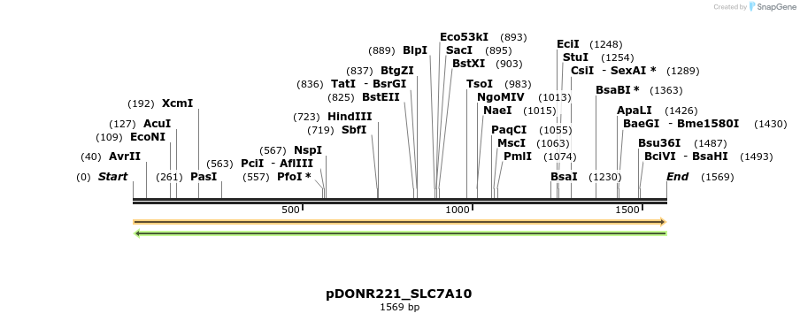 253864_map