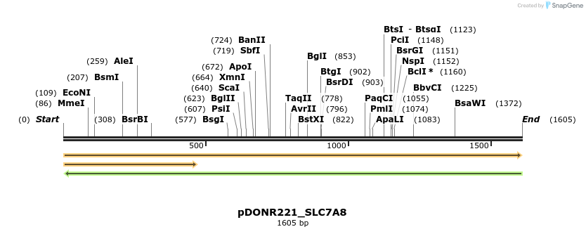 253866_map
