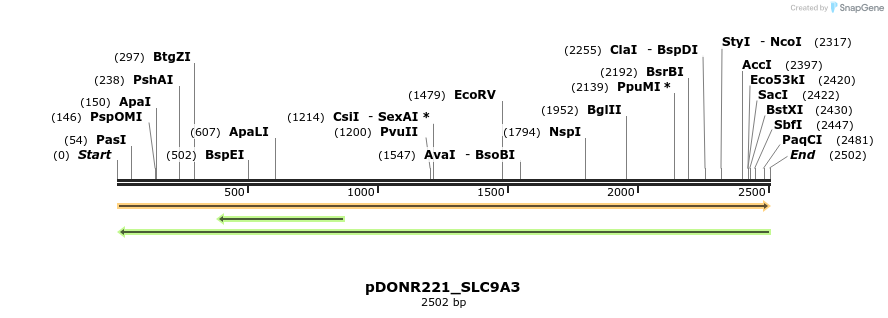 253868_map