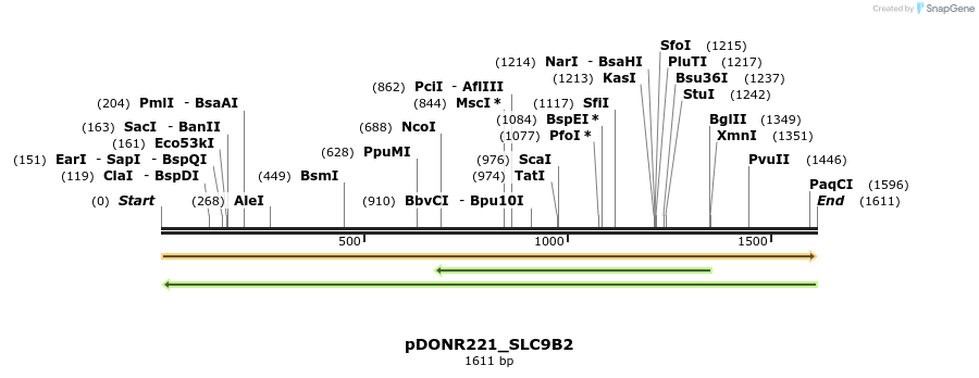 253870_map
