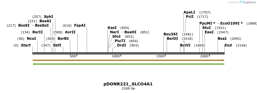 253872_map