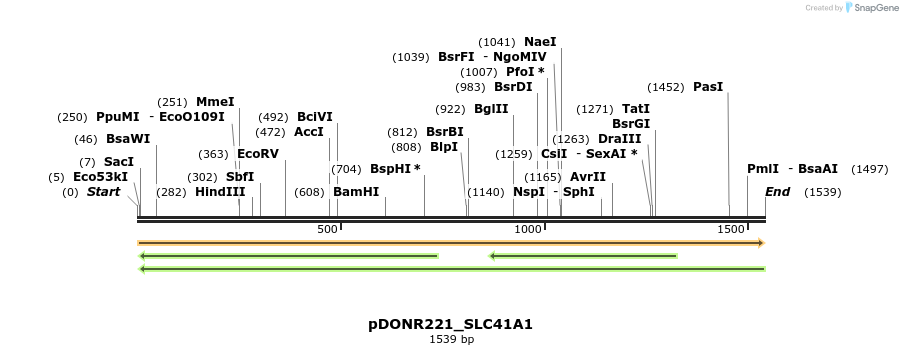 253874_map