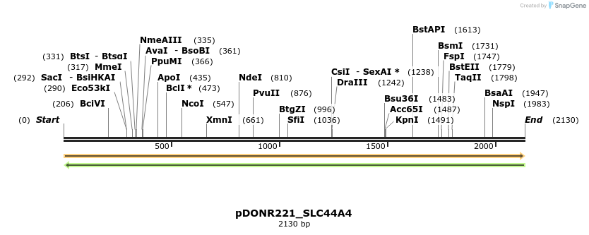 253876_map