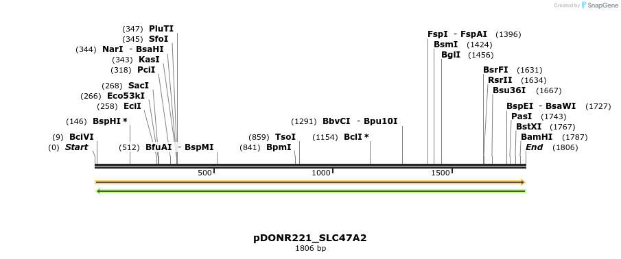 253878_map