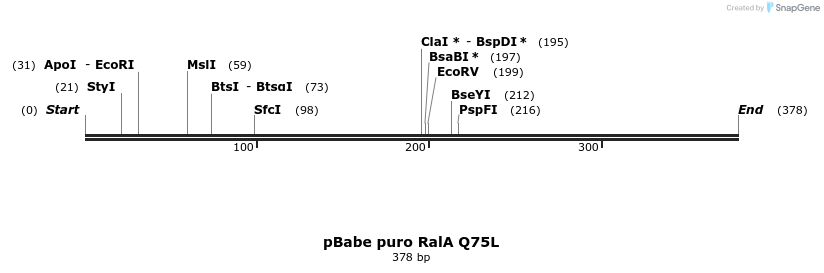 25388_map