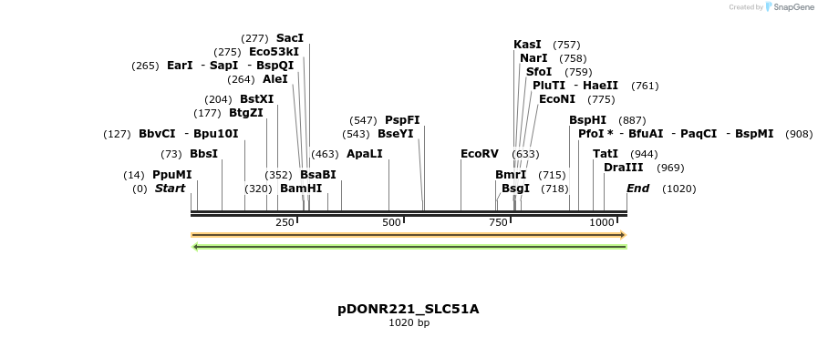 253880_map