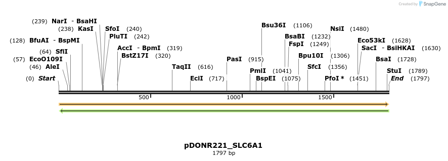 253884_map