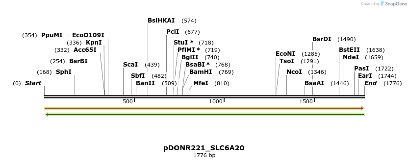 253886_map