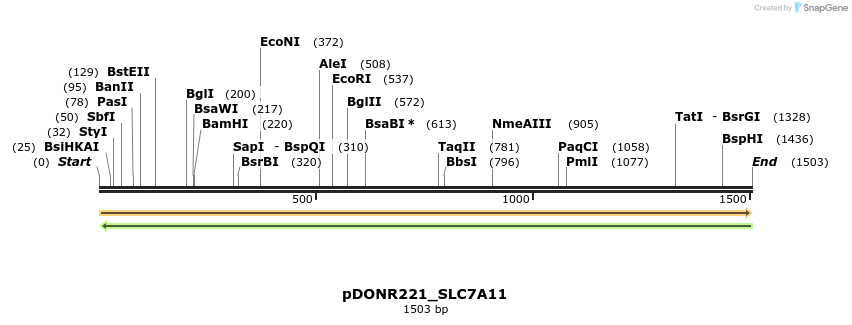 253888_map