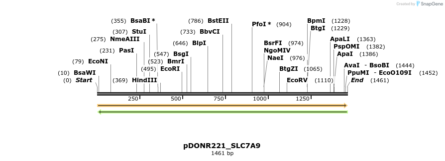 253890_map