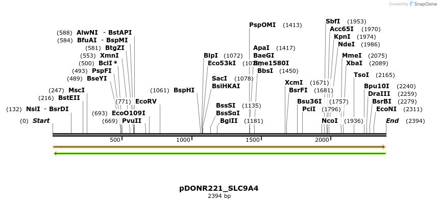 253892_map