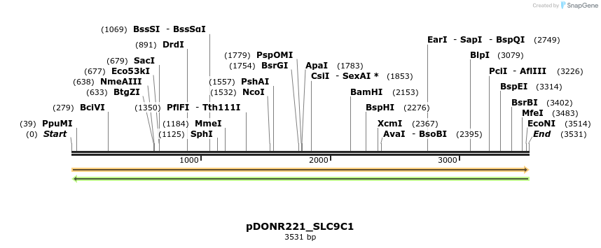 253894_map