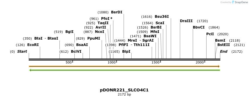 253896_map