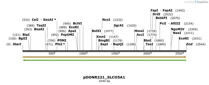 253898_map