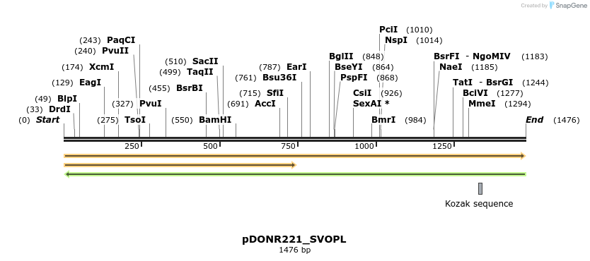 253900_map