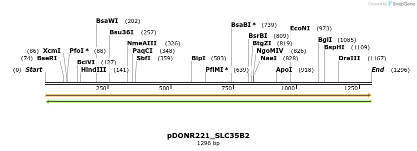253902_map
