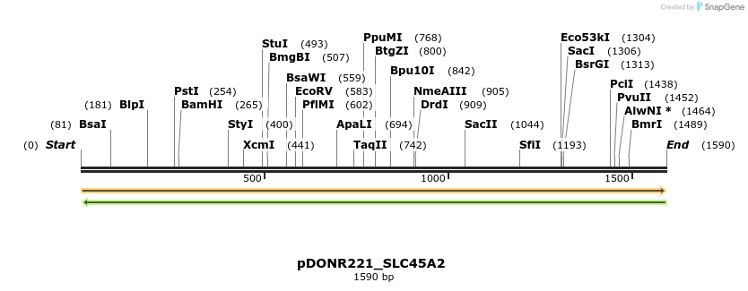 253908_map