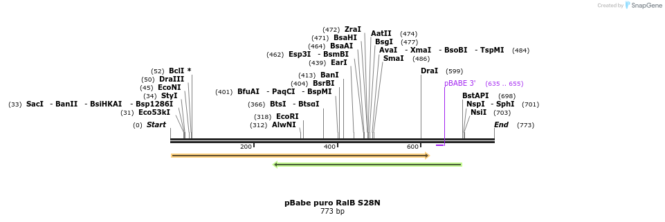25391_map