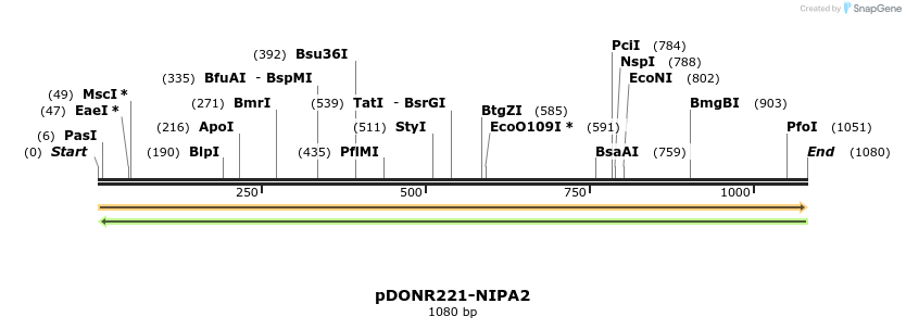 253910_map