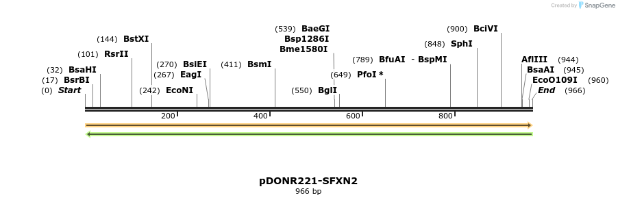 253912_map