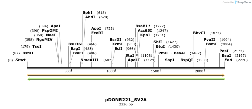 253914_map
