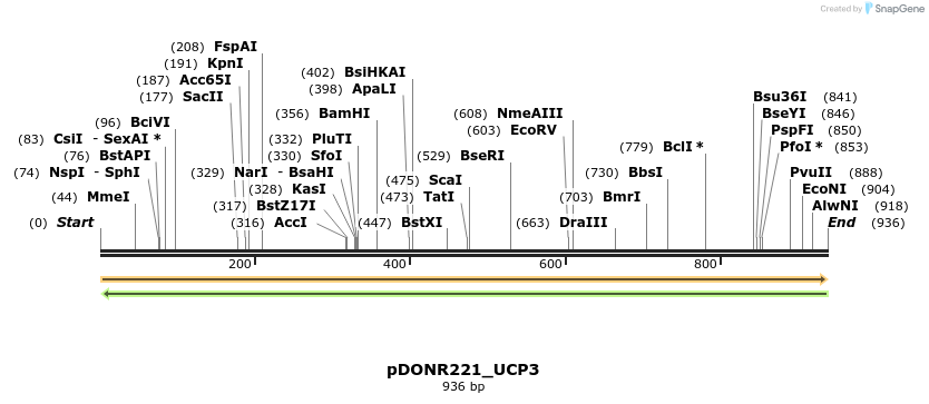 253916_map