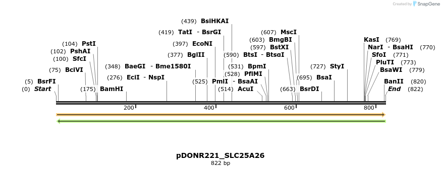 253918_map