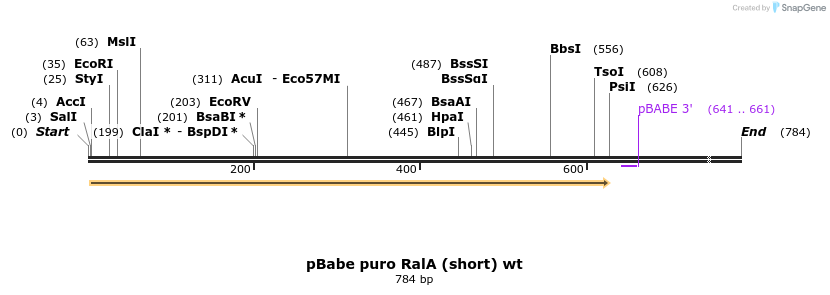 25392_map