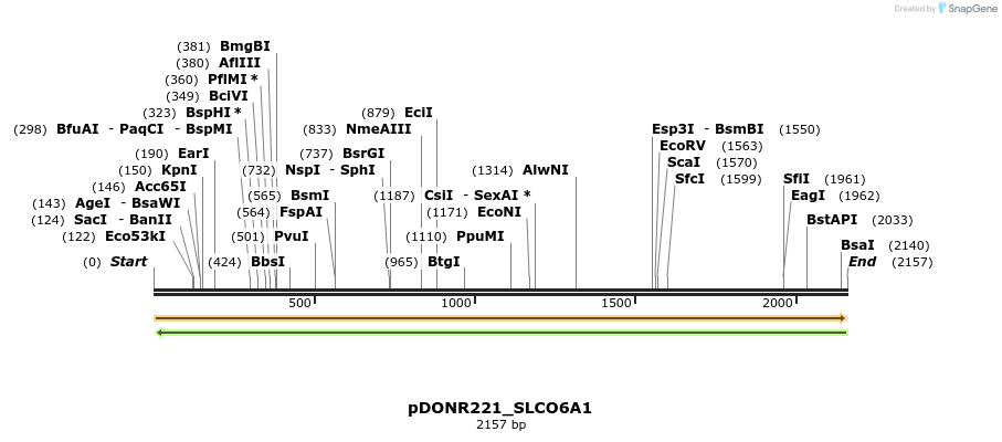253922_map