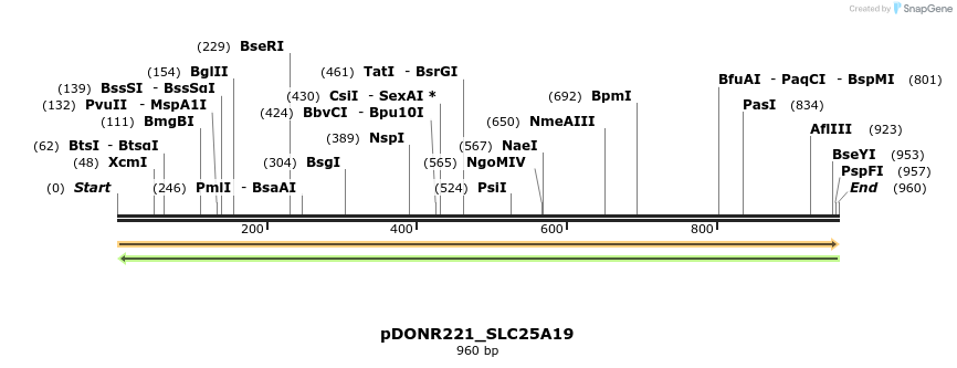 253926_map