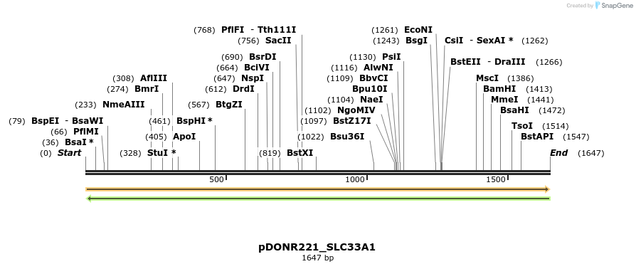 253928_map