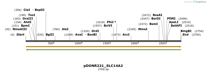253930_map