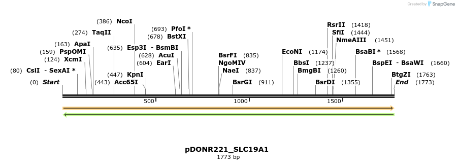 253932_map