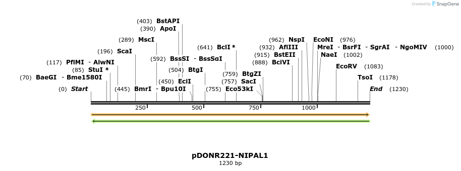 253934_map